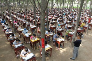 Китайські школярі екзамени здають у лісі
