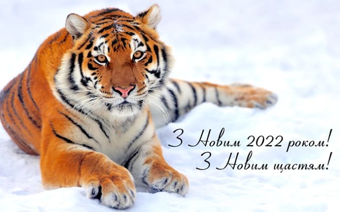Привітання з Новим 2022 роком Тигра