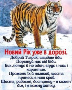 Новий рік Тигра вже в дорозі